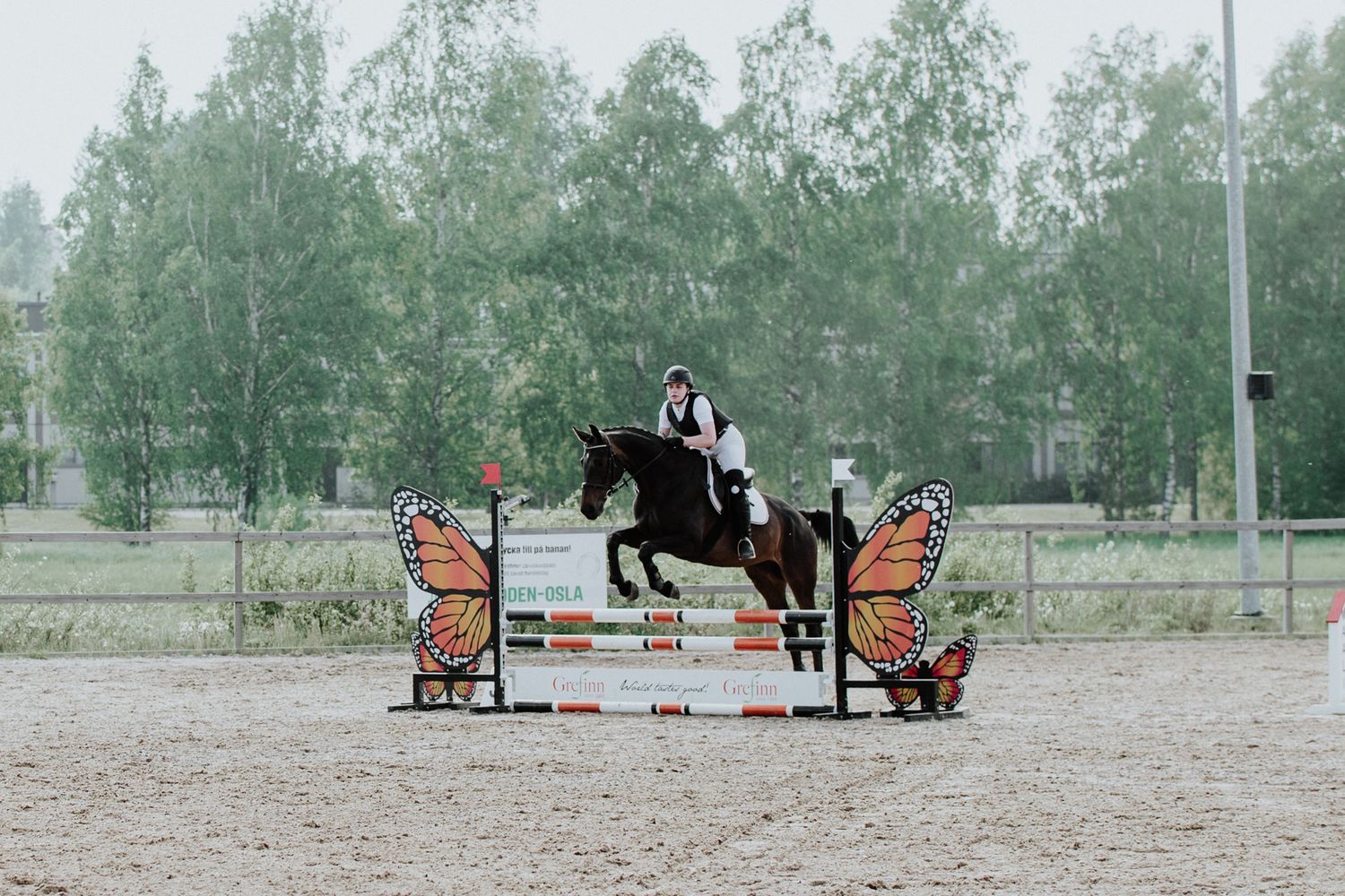 Show jumping competition with butterfly-themed obstacle course decorations.