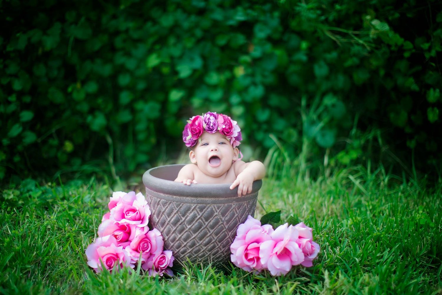Tampa Florida Photographer