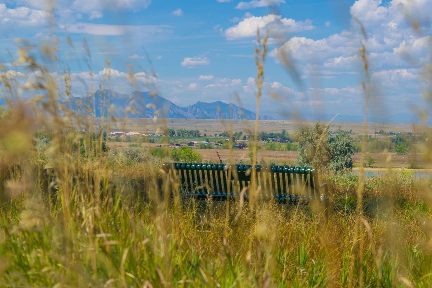 Green benches surrounded by tall grasses with mountain views in the background.