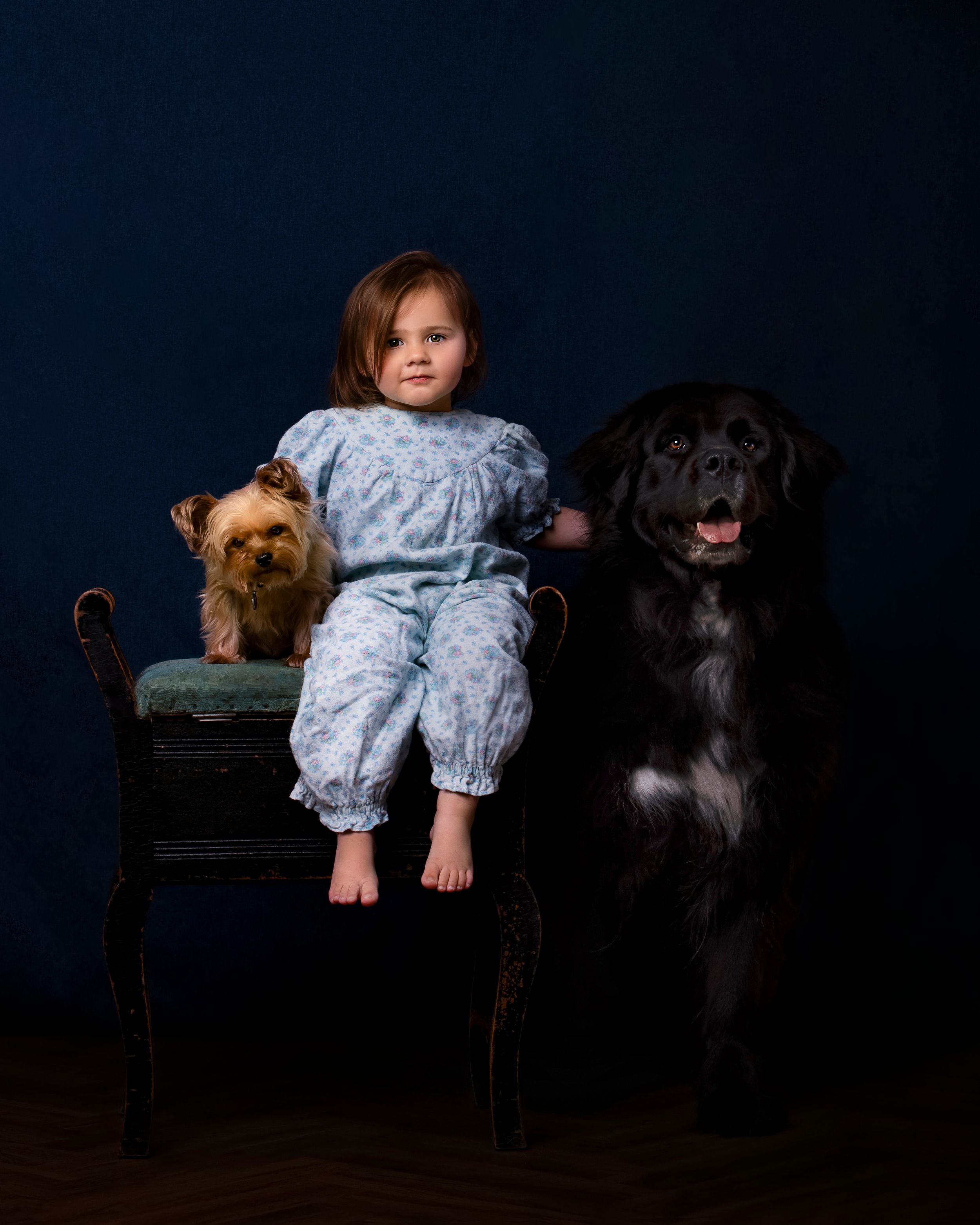 A small child in blue pajamas sits between a Yorkshire terrier and large Newfoundland dog on an antique chair against dark backdrop..