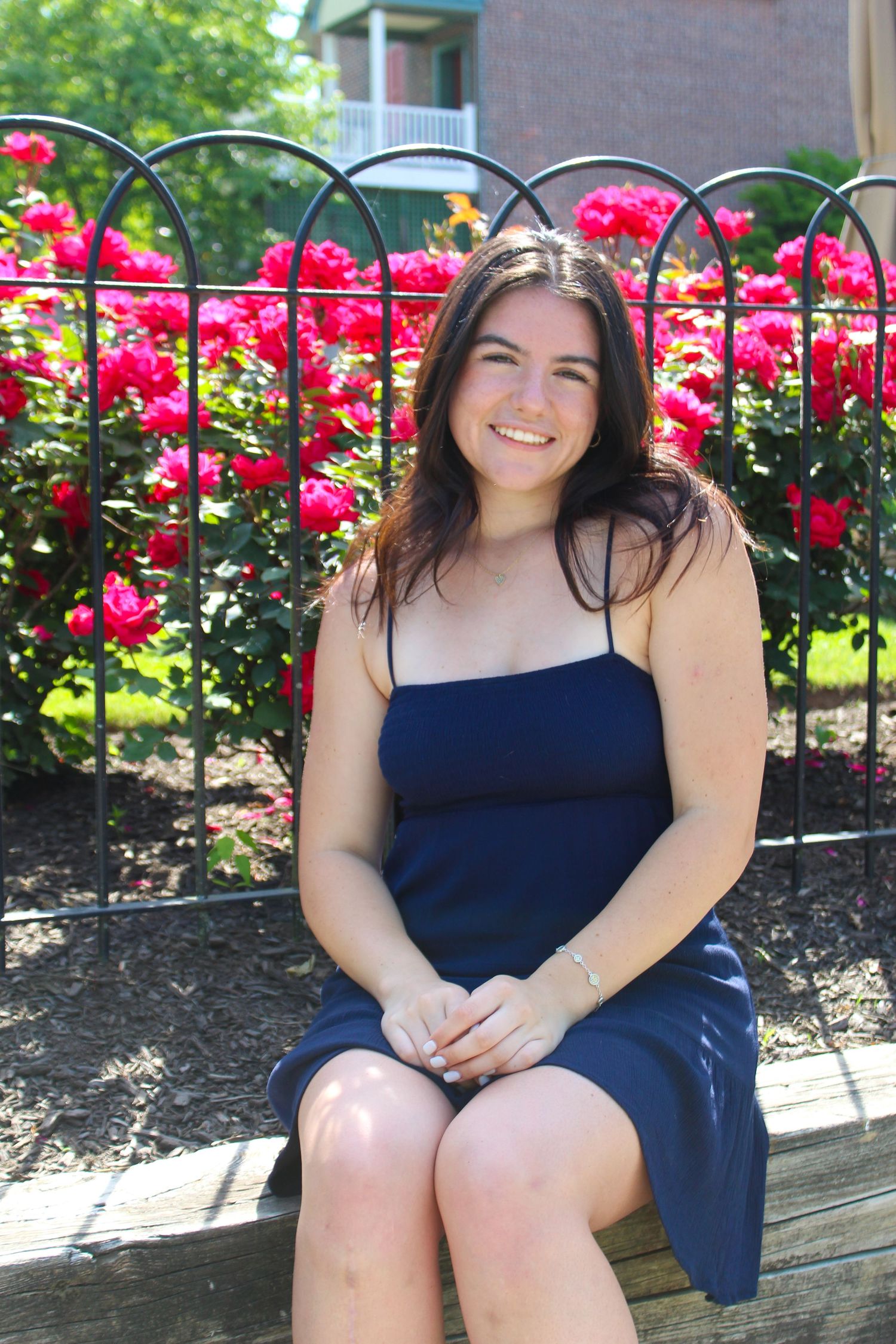 A figure seated on a bench with bright red rose bushes and metal fencing behind them.