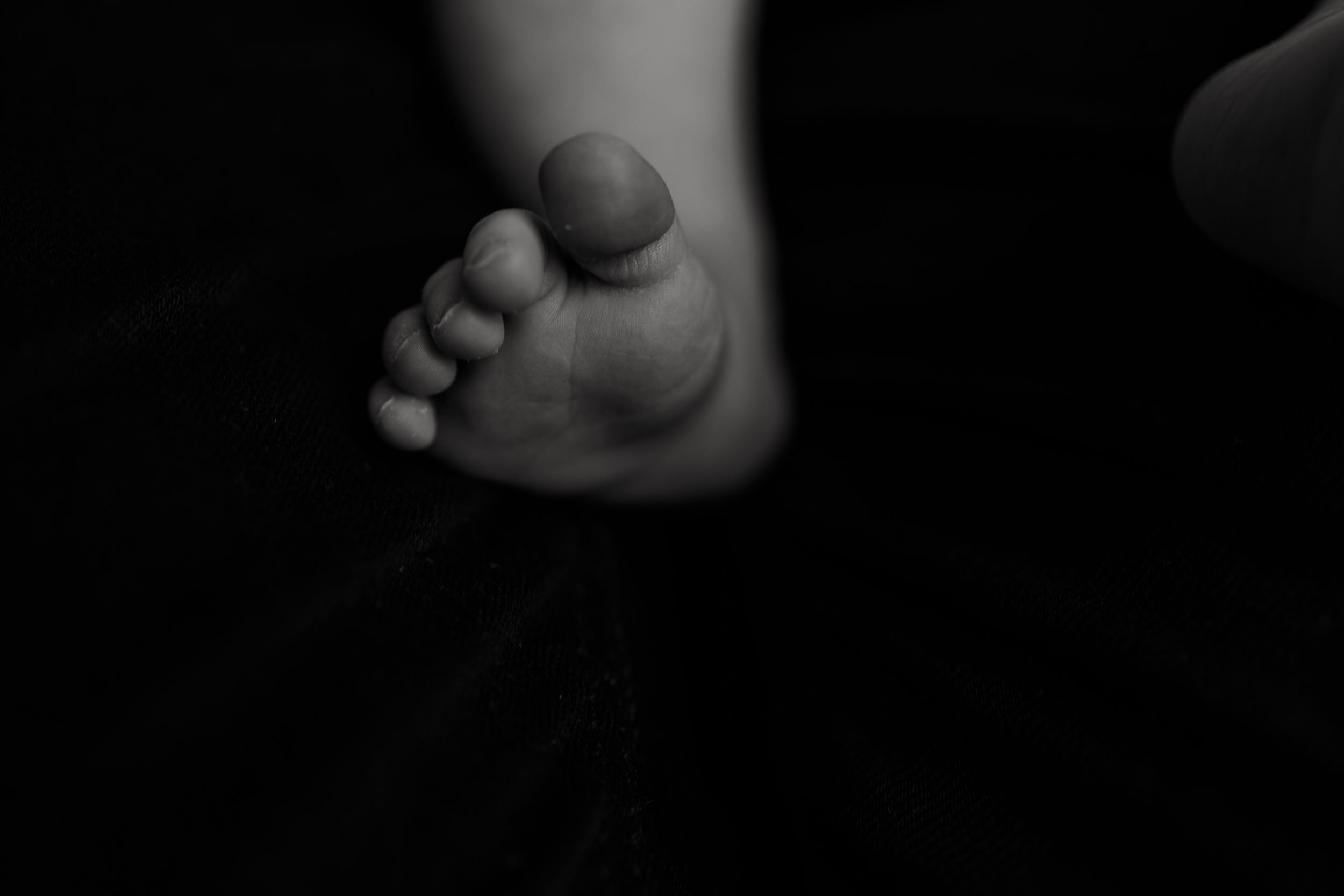 Black and white close-up of a newborn baby's tiny foot against a dark background.