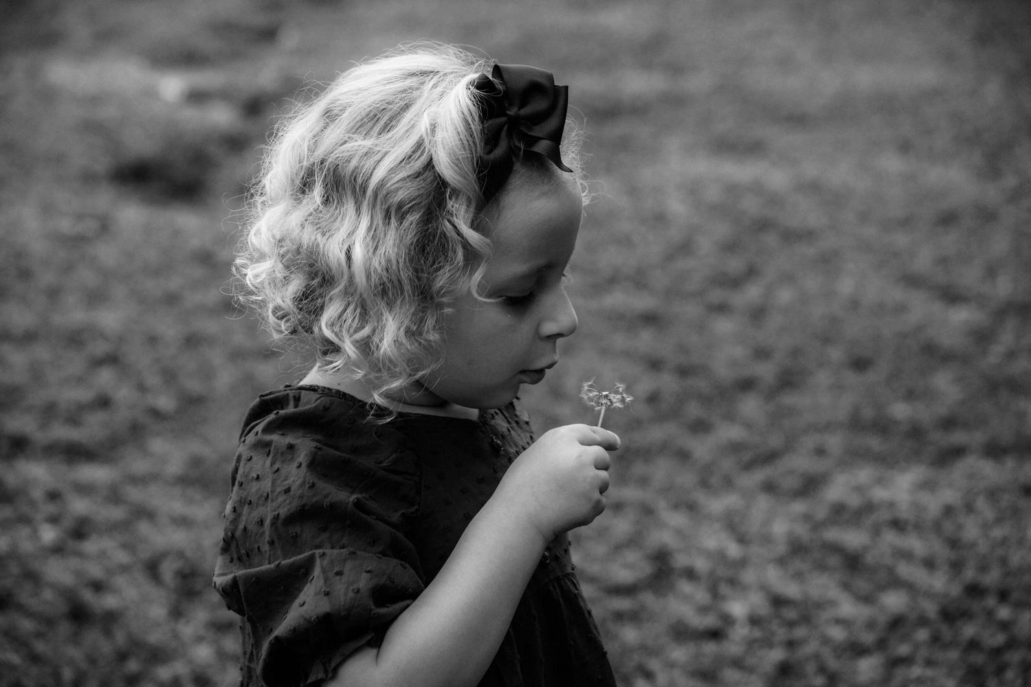 Black and white photo of a small child with curly hair and a bow holding a dandelion flower in a contemplative pose.