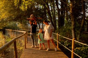 Sessões de famílias ao pôr-do-sol; sessões fotográficas de famílias; ensaios fotográfico de famílias em Vila Nova de Gaia; fotografo