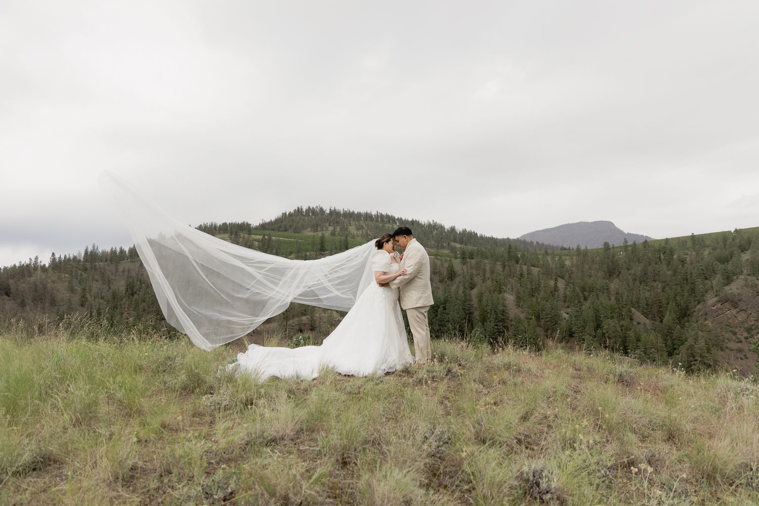 A magical wedding day at in Naramata, BC! I captured every beautiful moment, from the emotional vows to the lively reception.