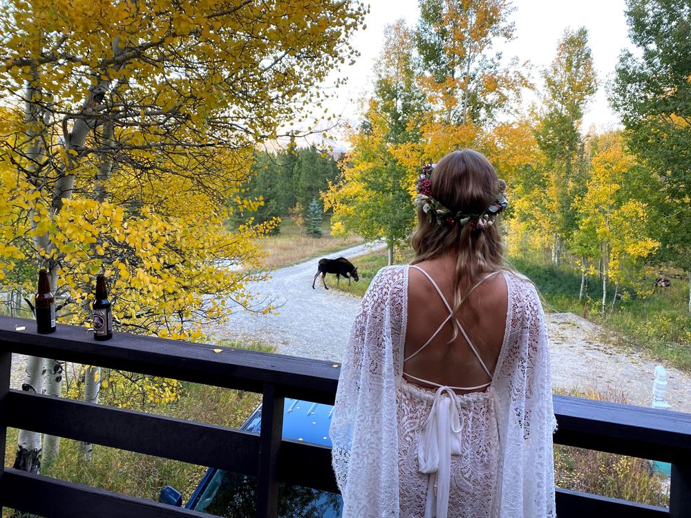 Bride standing on deck looking at a moose