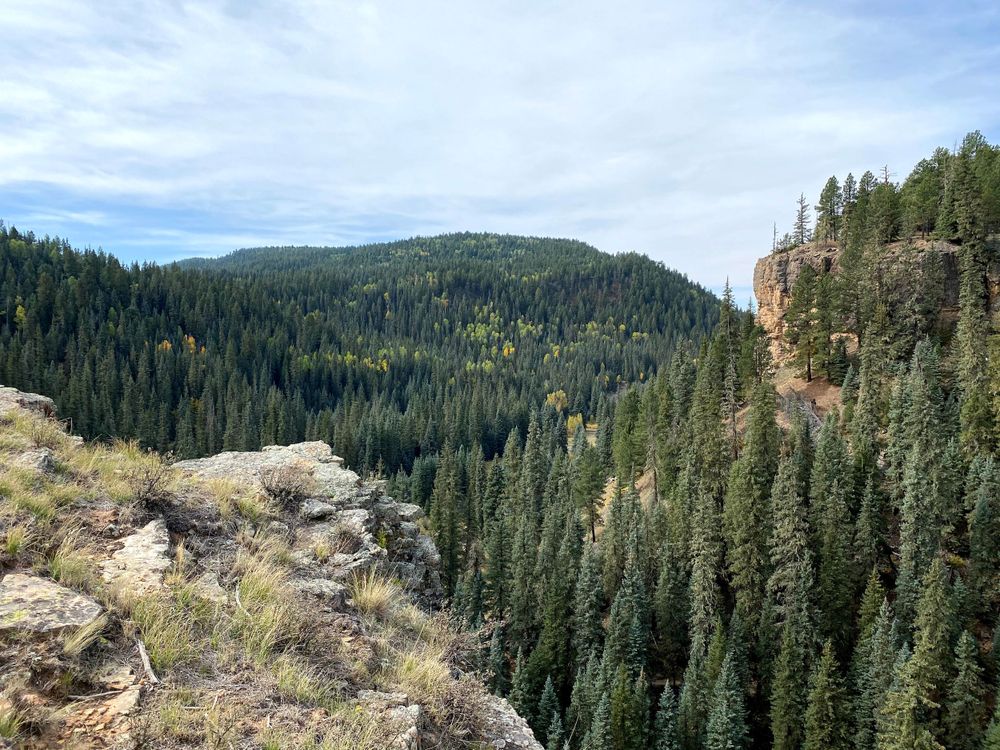 Colorado mountain side