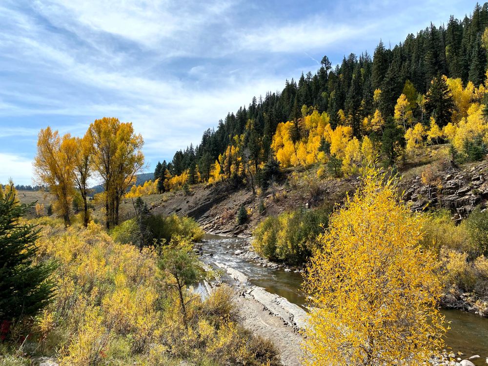 River in fall in San Juan National Forest Colorado