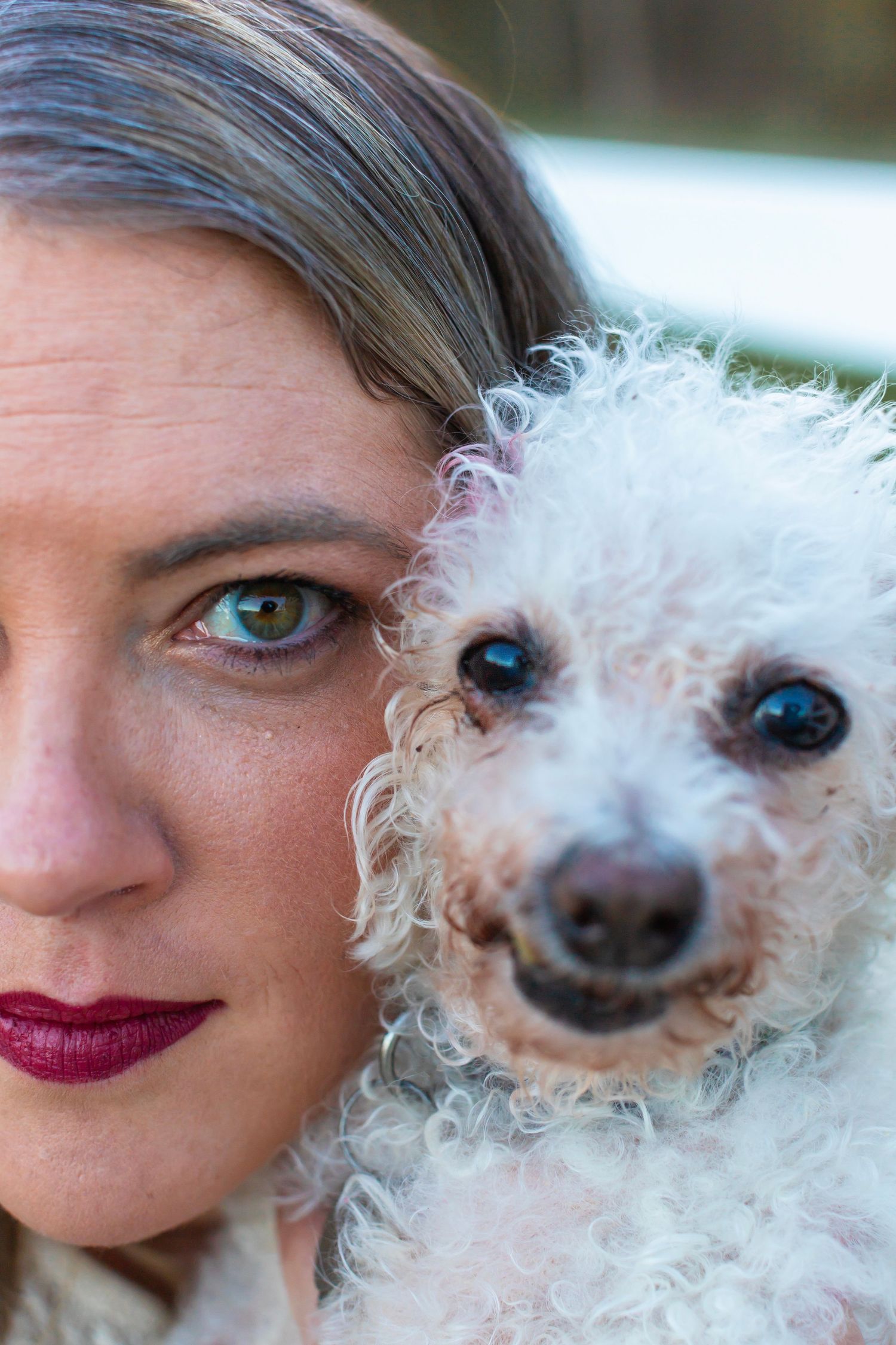 Close up portrait of white fluffy dog with curly fur next to someone.