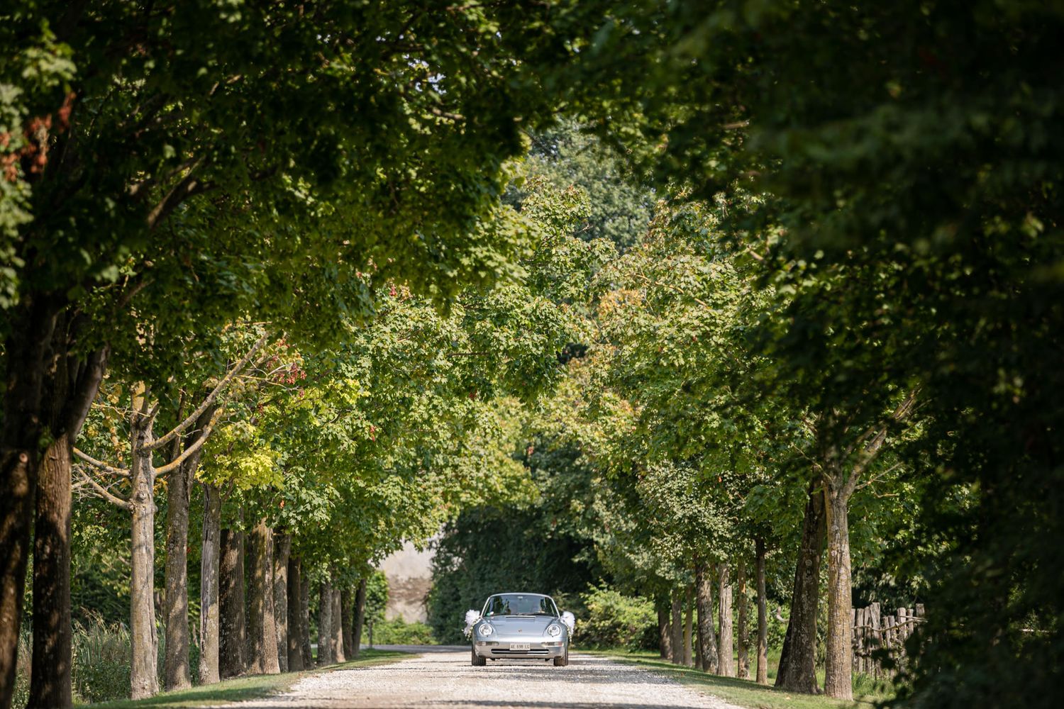 A tree-lined country road with lush green foliage creating a natural tunnel effect.