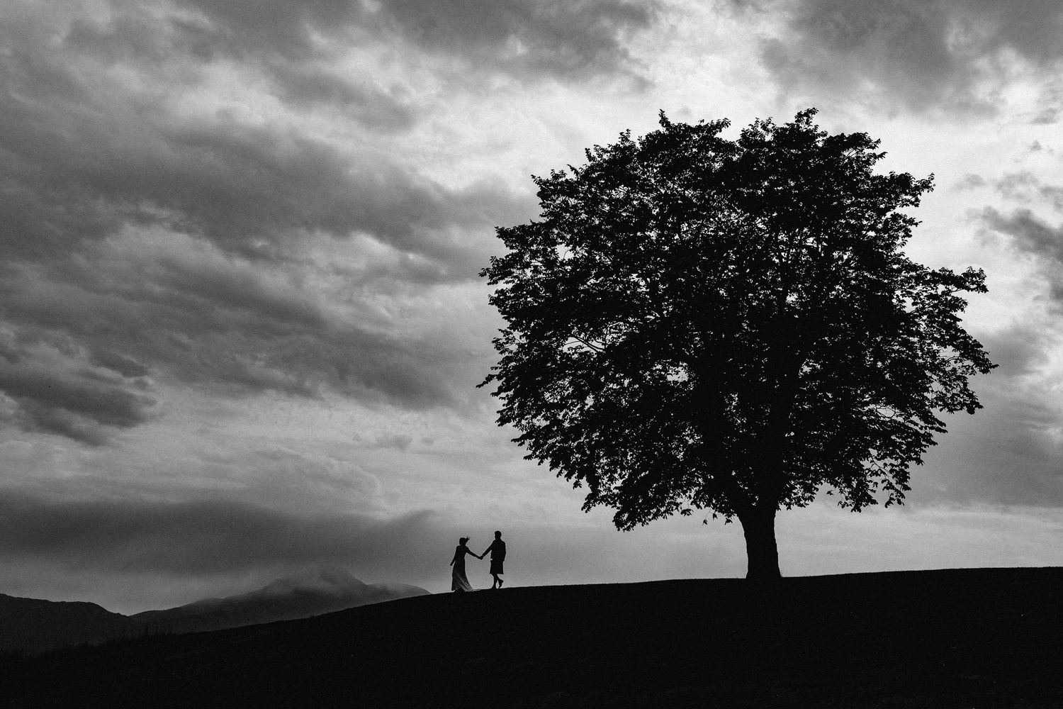 Dramatic silhouettes against a moody sky with a lone tree on the horizon.