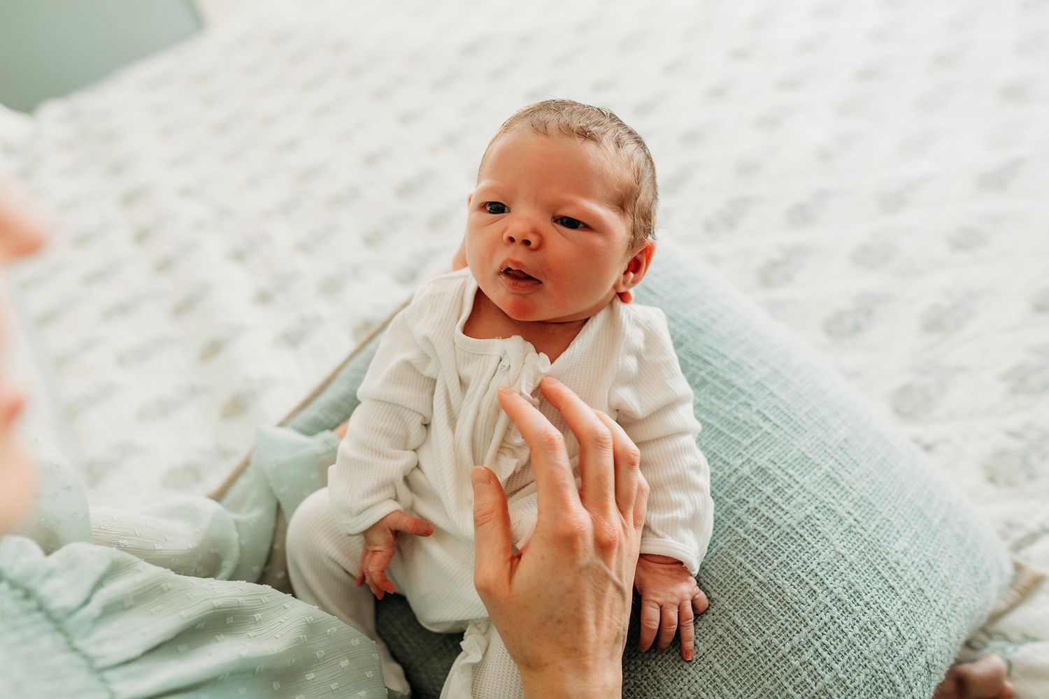 Ann Arbor Newborn Photographer