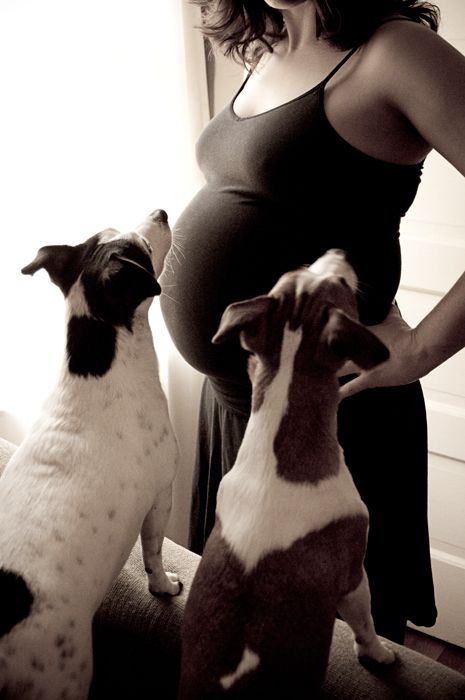 A pregnant woman in dark clothing stands with two spotted dogs looking up at her.
