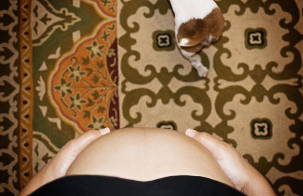 Close-up of pregnant belly on patterned oriental rug with vintage filter effect.