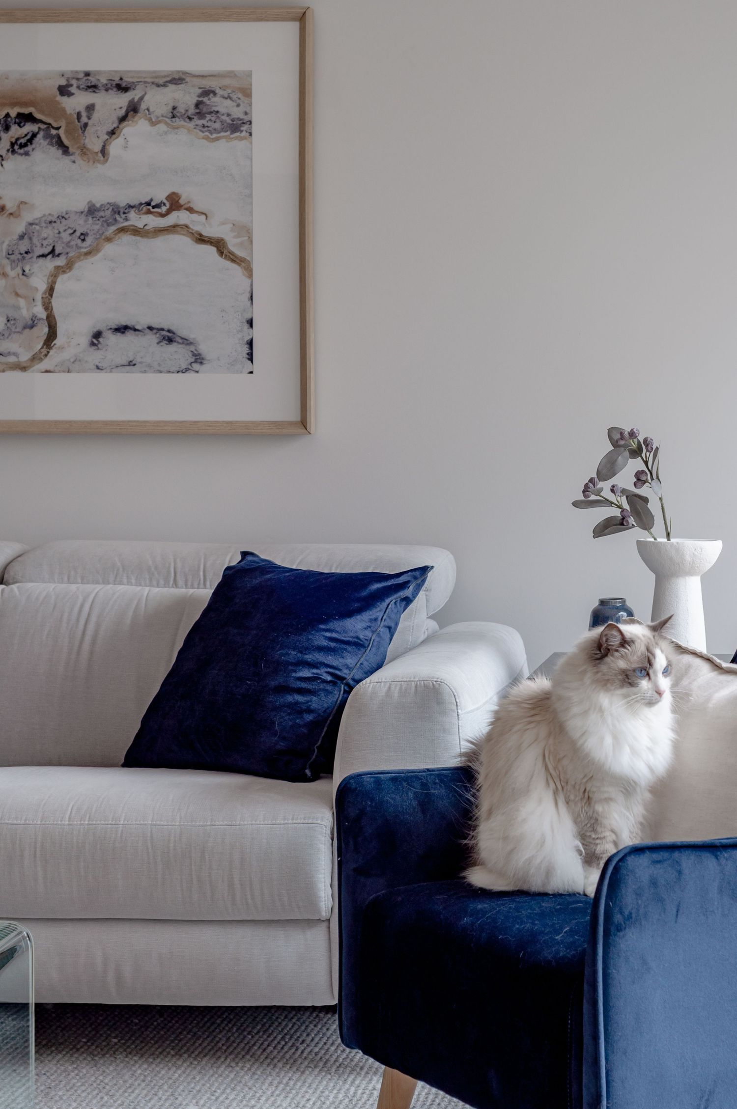 White living room with abstract art featuring a cat lounging on a navy blue velvet accent chair.