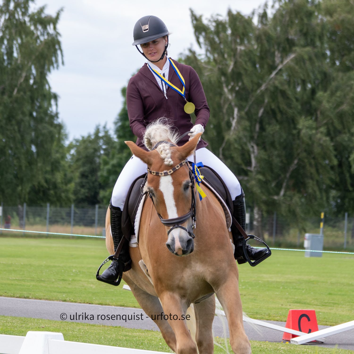 A chestnut horse and rider compete in a dressage event wearing medals on a grassy field.