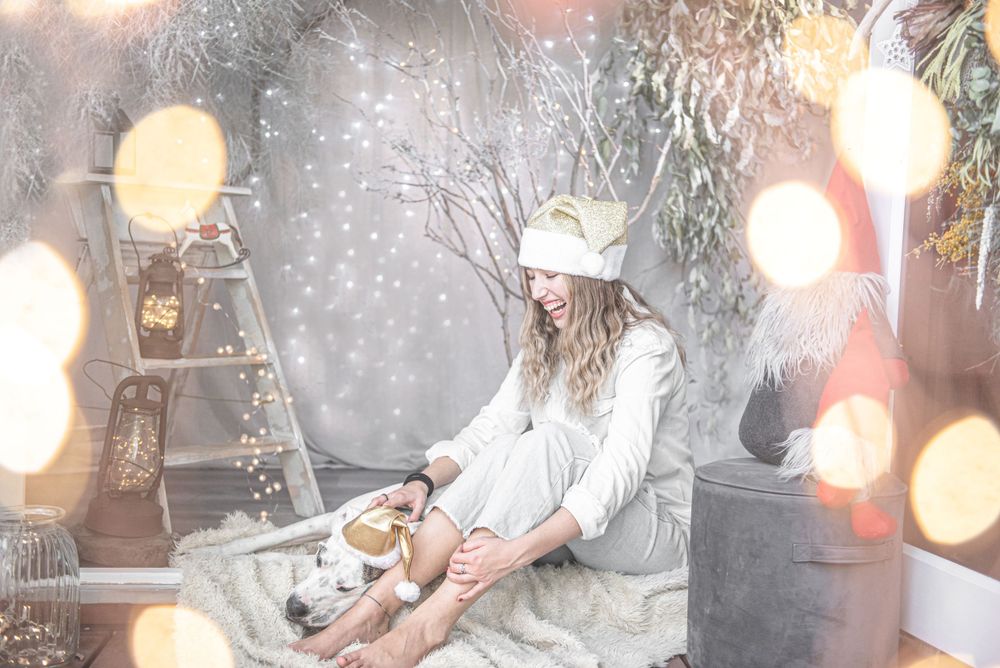 Dogs pose together with holiday accessories against a backdrop of twinkling Christmas lights.