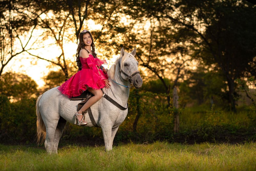 A sunset photoshoot featuring formal dresses and white horses in a grassy field.