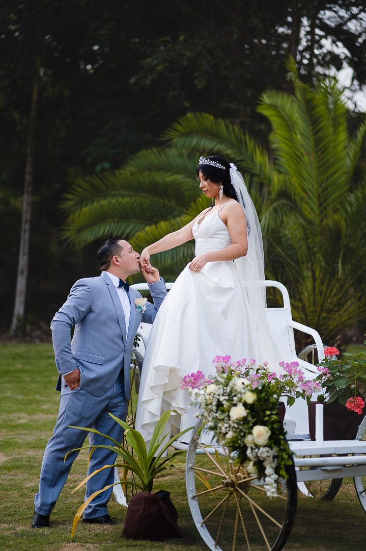 Garden wedding scene with white bench and tropical palm trees in the background.
