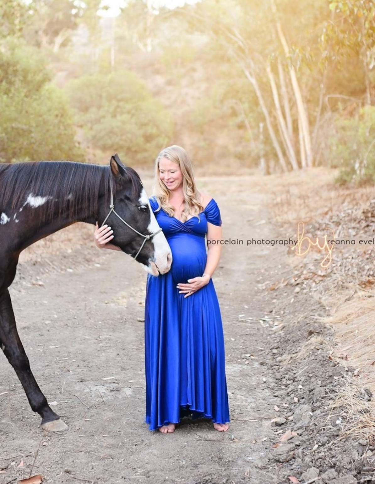 Maternity session with a black horse and flowing royal blue dress in a natural setting.