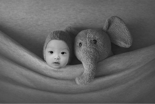 Composite photo of newborn with elephant