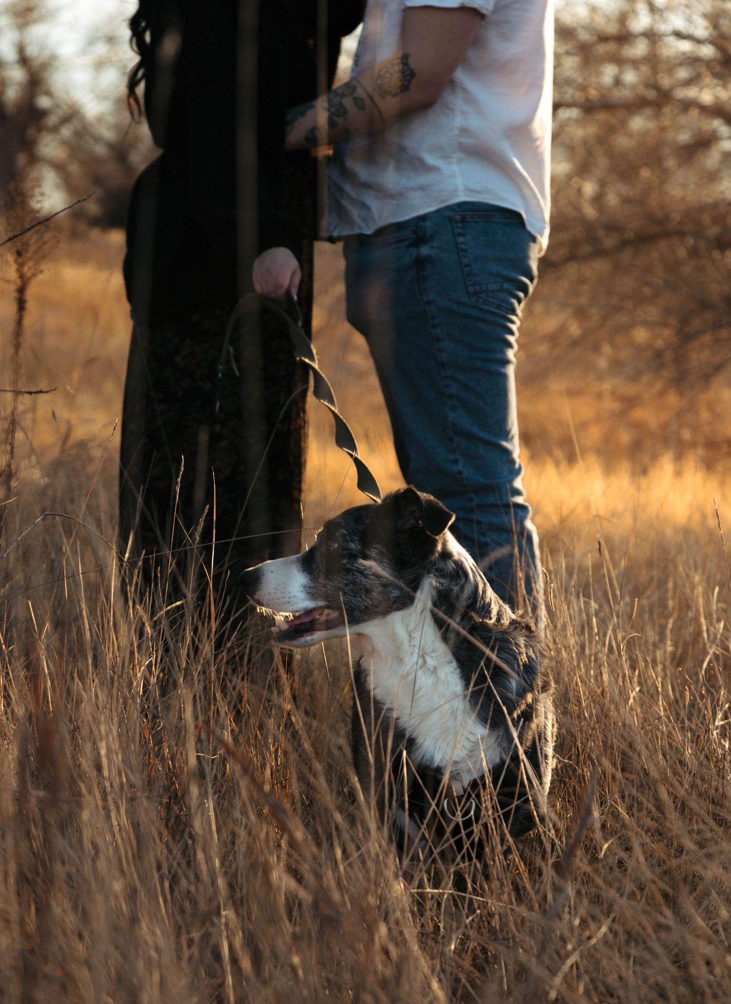 A couple shares an intimate moment together outdoors, smiling at each other against a sunny natural background.