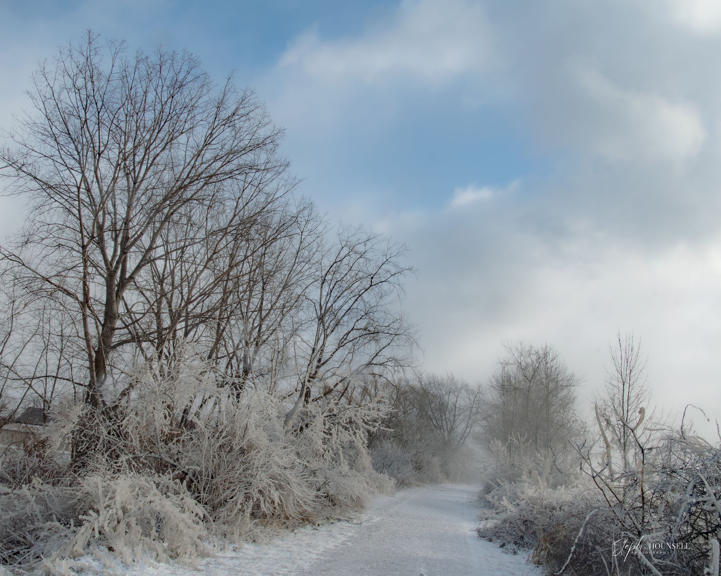 Winter Erieau Lakeshore trail