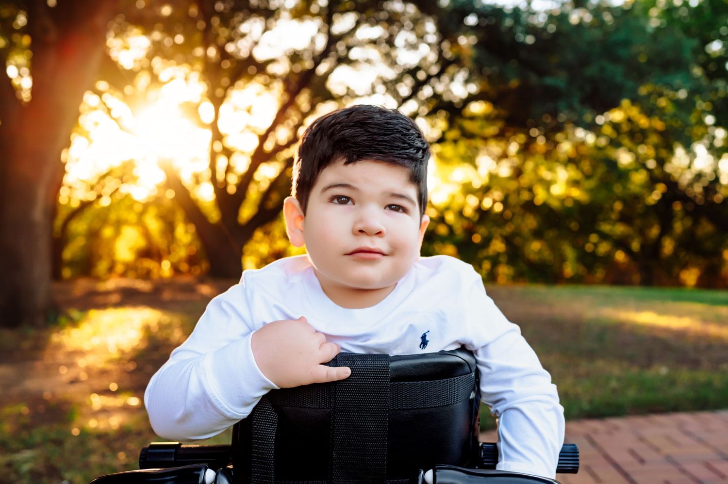 special needs boy standing in gait trainer in front of sunset during family photo session in park by mesquite, tx family photographer