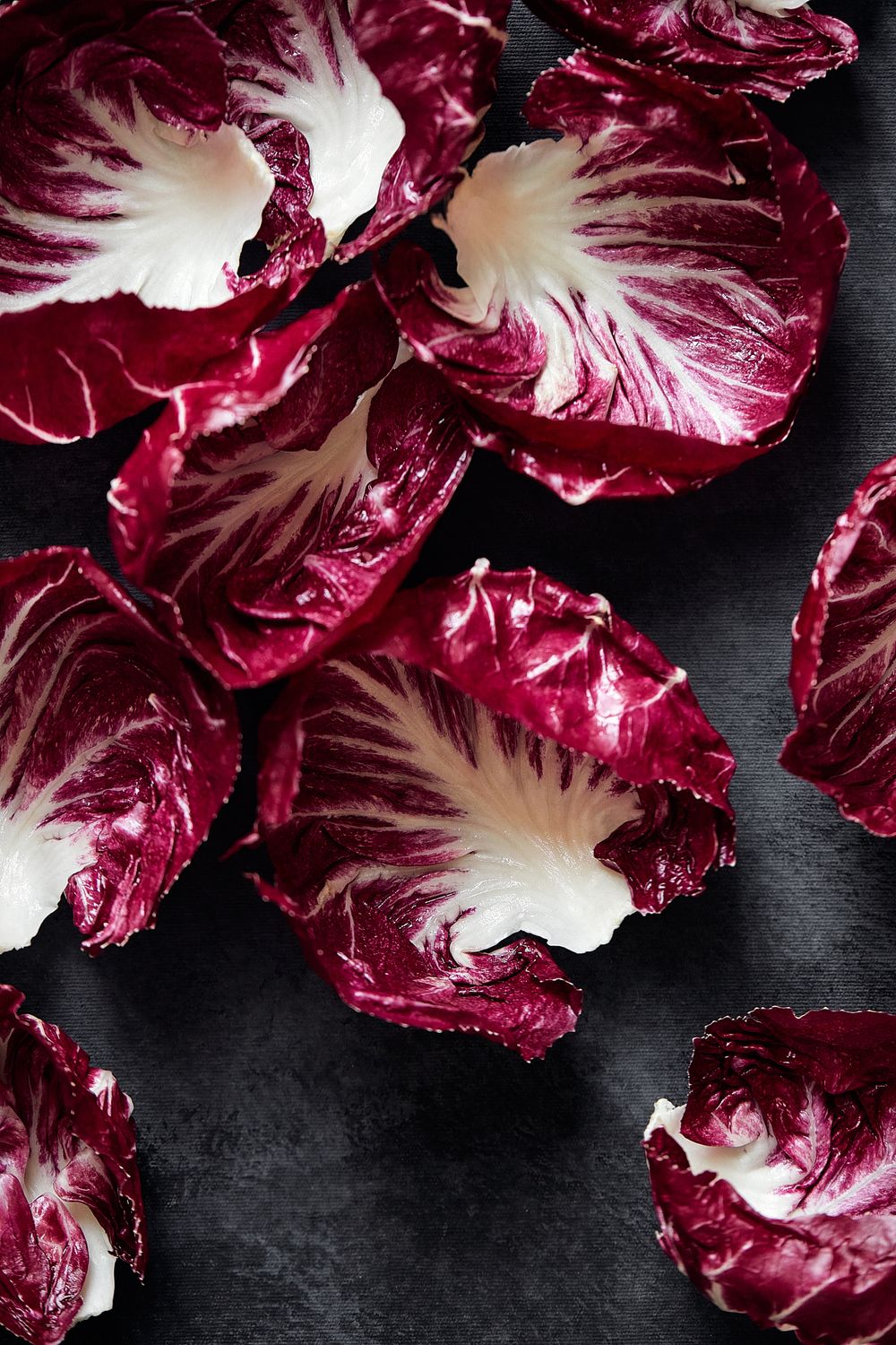 Fresh radicchio leaves with deep burgundy color and white veins on dark background.