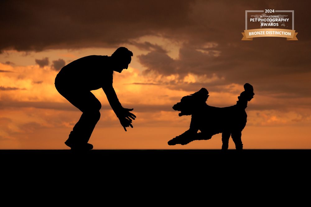 Silhouette of playful interaction between dog and person against orange sunset sky.
