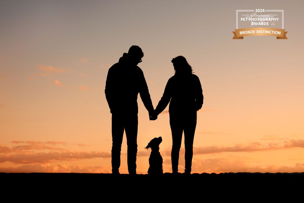 Silhouette of couple holding hands with their dog at sunset against an orange sky.