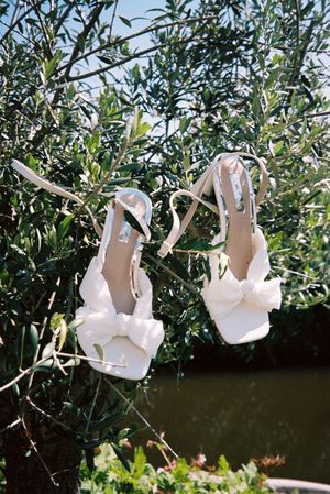 White wedding dresses hanging decoratively from tree branches outdoors.