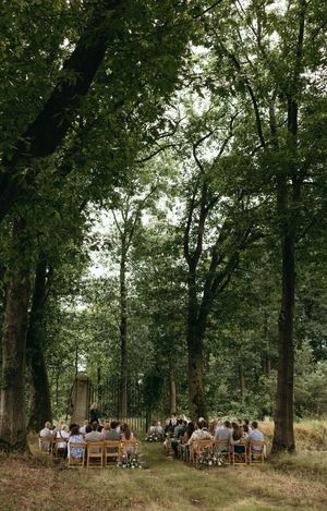 Outdoor woodland wedding ceremony setup with wooden chairs arranged in rows beneath tall trees.