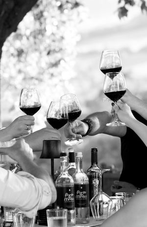 A group of wine glasses clink together in a celebratory toast with bottles visible on the table.