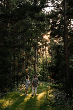 Familie fotograaf, gezinsfotograaf, gezinsfotografie, amersfoort, fotograaf amersfoort