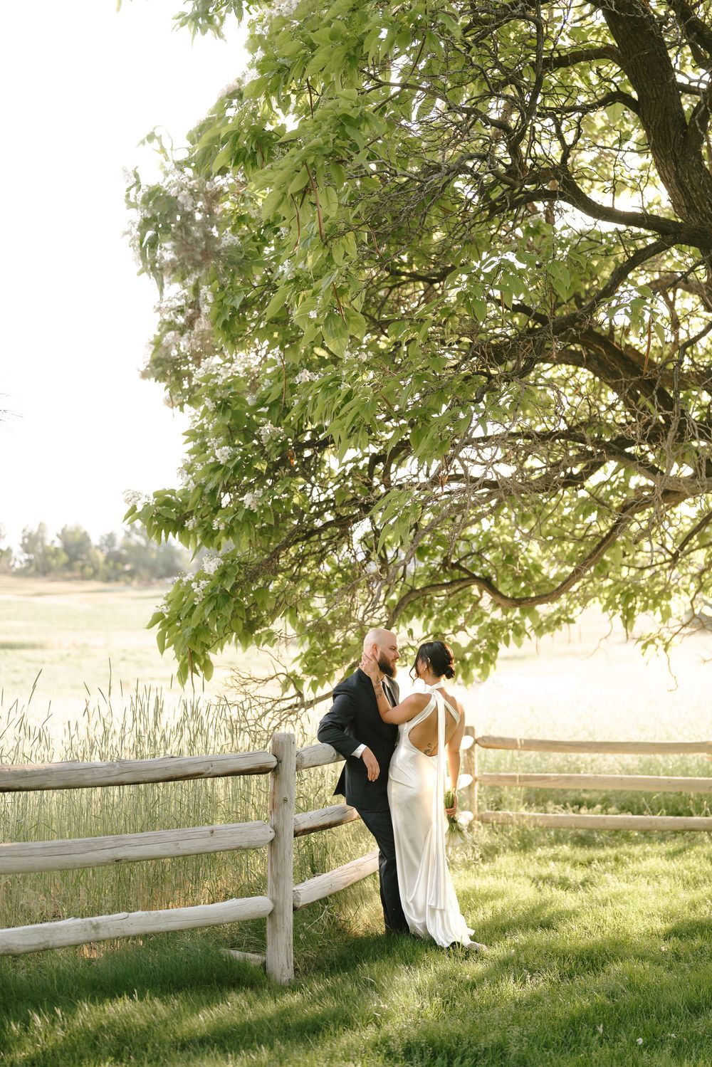 A couple shares a romantic moment under a large tree next to a rustic wooden fence in a sunlit countryside setting.