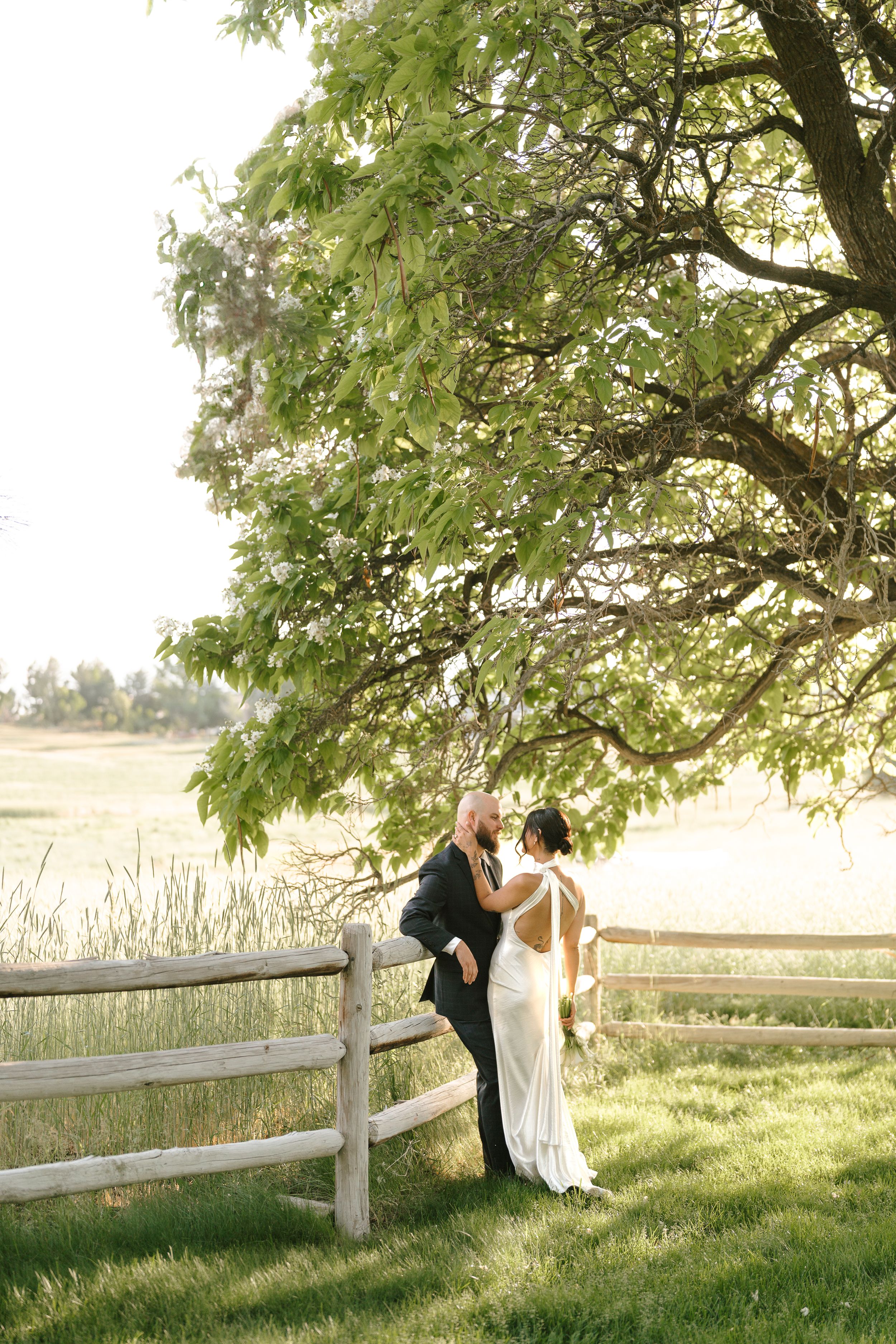 A couple shares a romantic moment under a large tree next to a rustic wooden fence in a sunlit countryside setting.