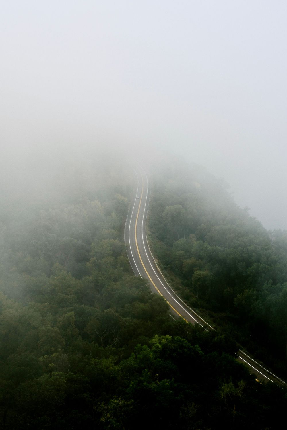 An aerial view of a misty winding road cutting through dense forest.