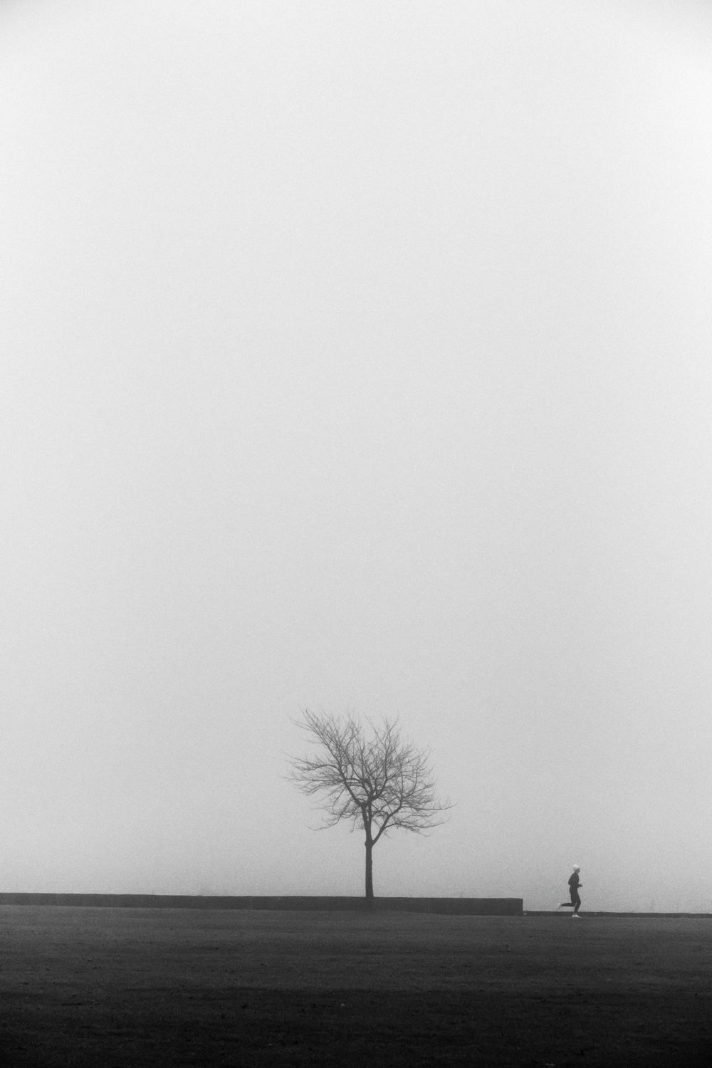 Minimalist black and white landscape with lone bare tree and distant figure in fog.