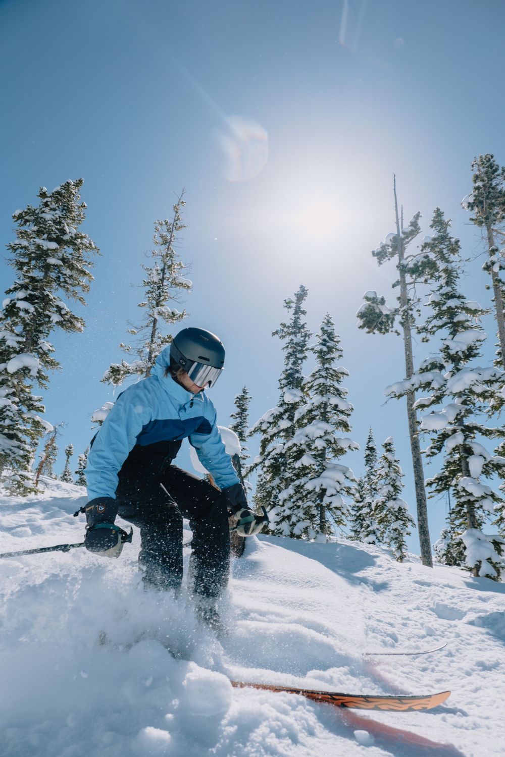 Skier in blue jacket carving through fresh powder snow among tall evergreen trees.