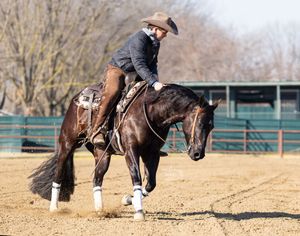 Cowboy riding a dark horse performing a reining maneuver in a dirt arena.