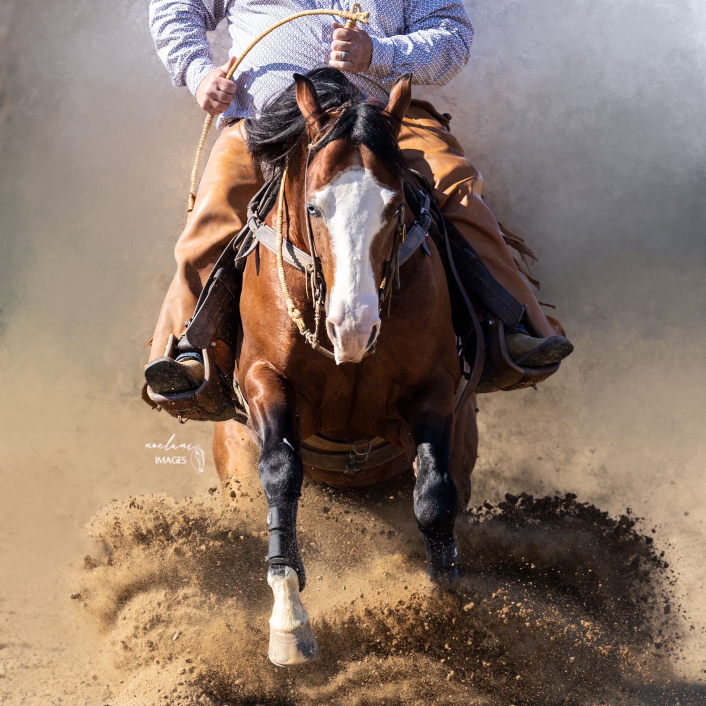 Cowboy on a bay horse sliding to a stop in a cloud of arena dust.