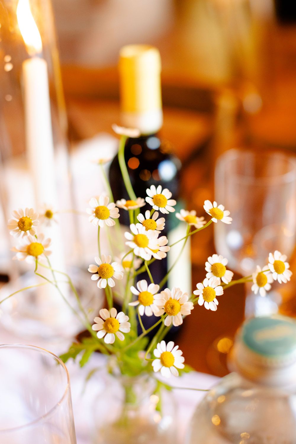 White daisies arranged in a vase with candlelight and wine bottles creating an intimate table setting.