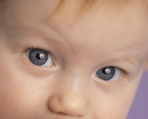 A close up of a baby's eyes and nose