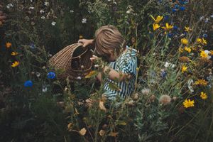 Young child in striped outfit carrying a wicker basket while exploring a vibrant wildflower field.