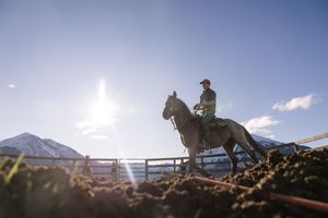 Silhouettes of cowboys on horseback herding cattle against a dramatic mountain landscape at sunset.