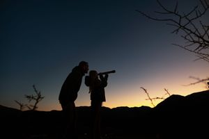 Silhouetted figure with binoculars stands against dramatic sunset sky while birdwatching in nature.