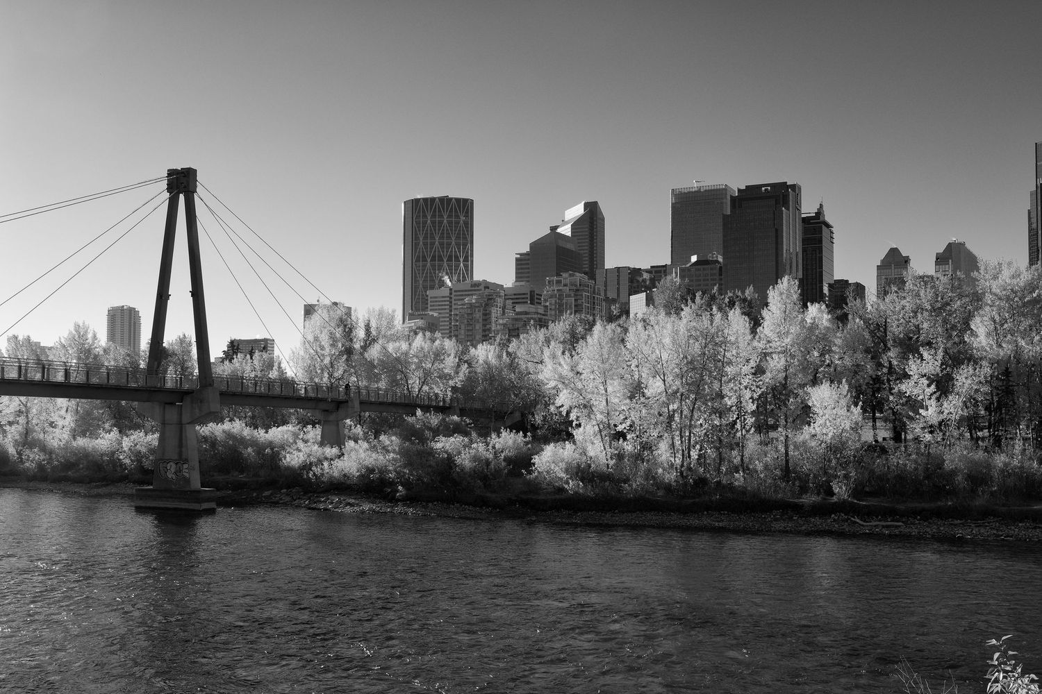 Calgary
