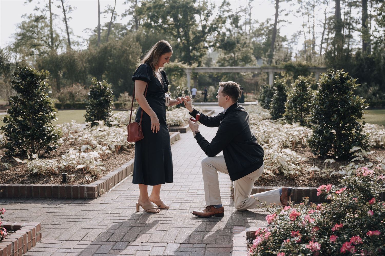 A romantic garden proposal scene with a person on one knee presenting a ring on a stone pathway surrounded by greenery.
