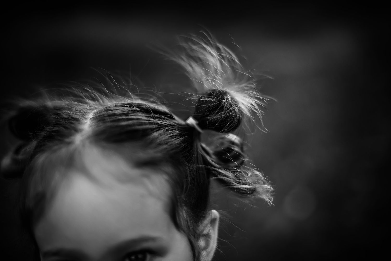 Fenton Michigan Family Photographer